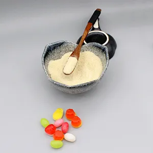 180-250 Bloom Bovine Gelatin for Food and Pharma